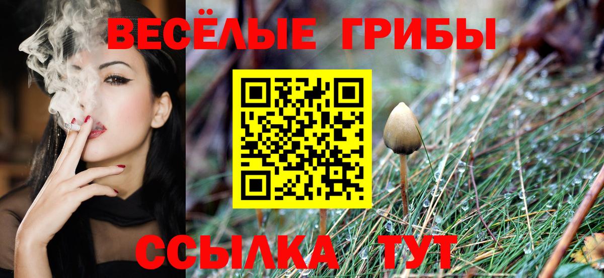 ГАШ Калач-на-Дону