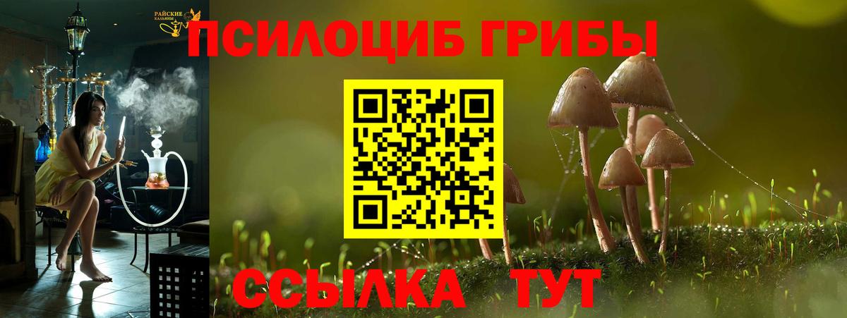 Псилоцибиновые грибы Psilocybine cubensis  как найти закладки  Вход с VPN  Калач-на-Дону  Псилоцибиновые грибы мухоморы 